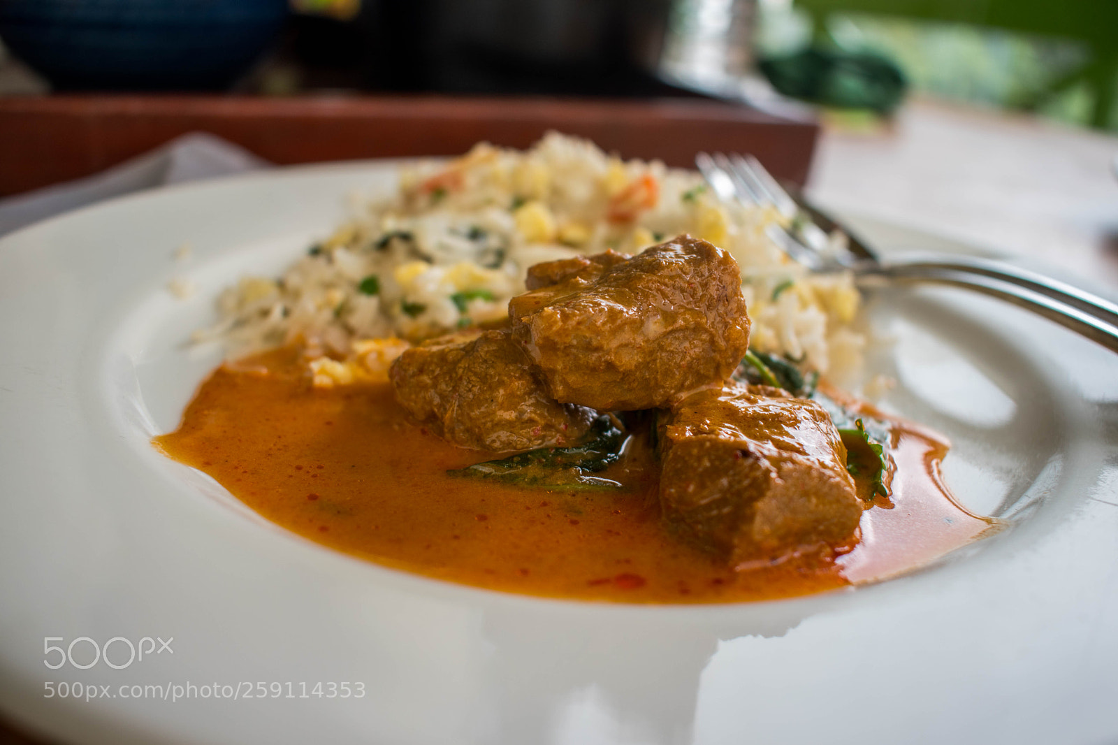 Nikon D5500 sample photo. Indian stylelamb curry with photography