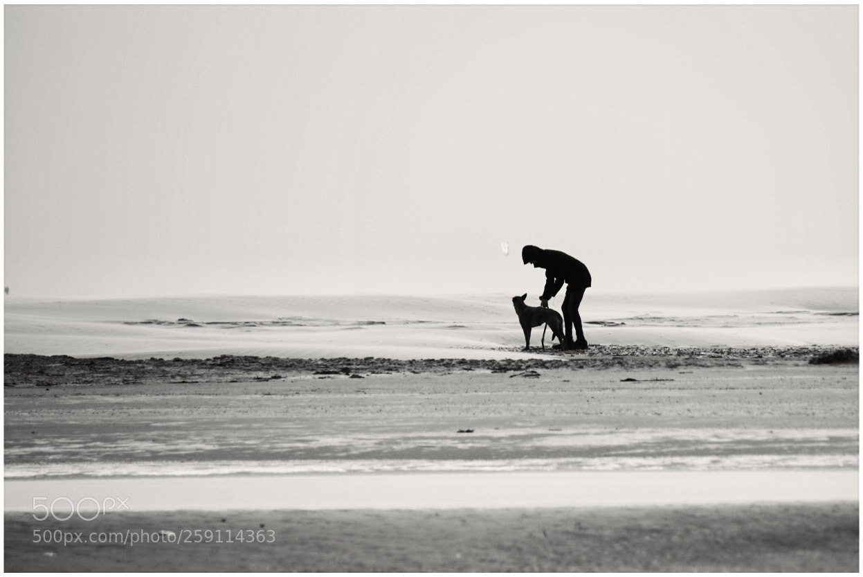 Sony a6000 sample photo. At the beach photography