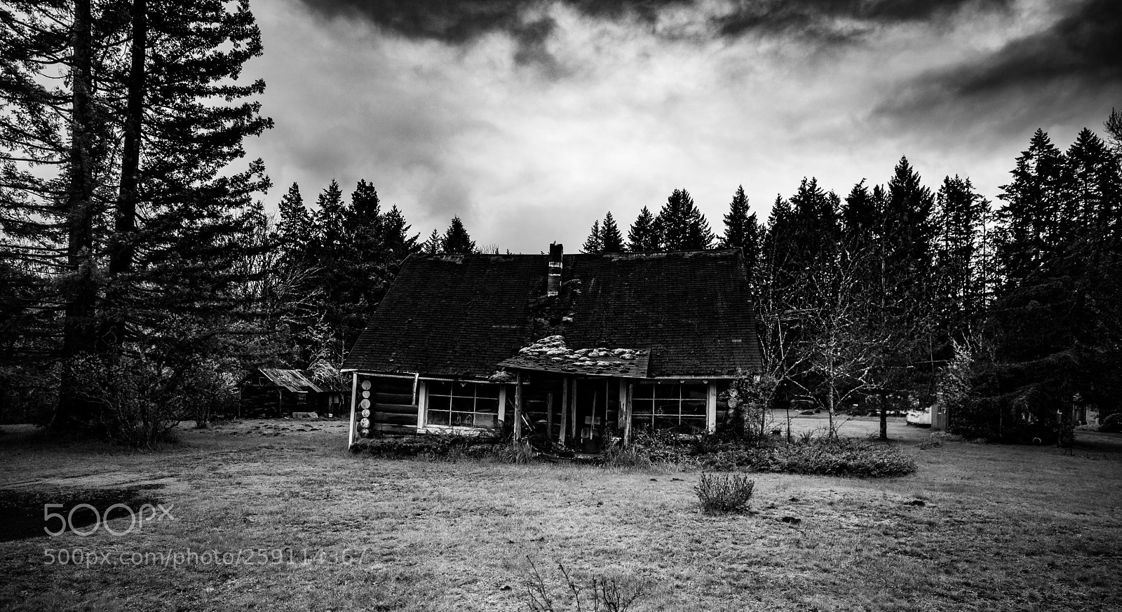 Canon EOS 5D Mark IV sample photo. Mt st. helens photography