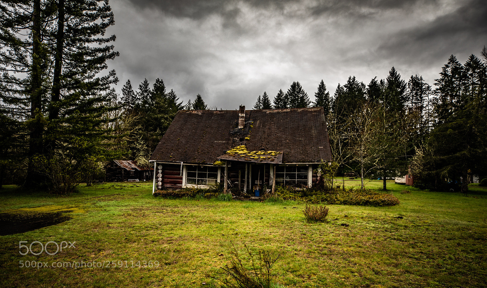 Canon EOS 5D Mark IV sample photo. Mt st. helens photography