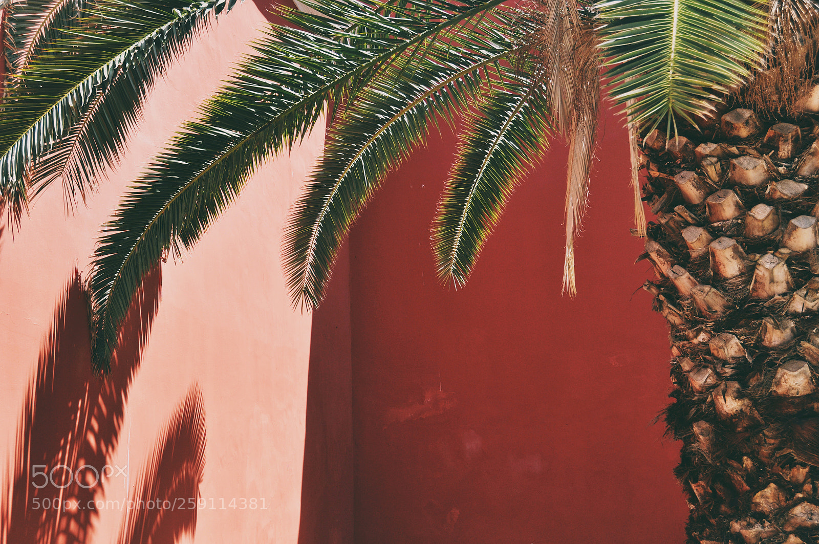 Nikon D90 sample photo. Light and shade photography