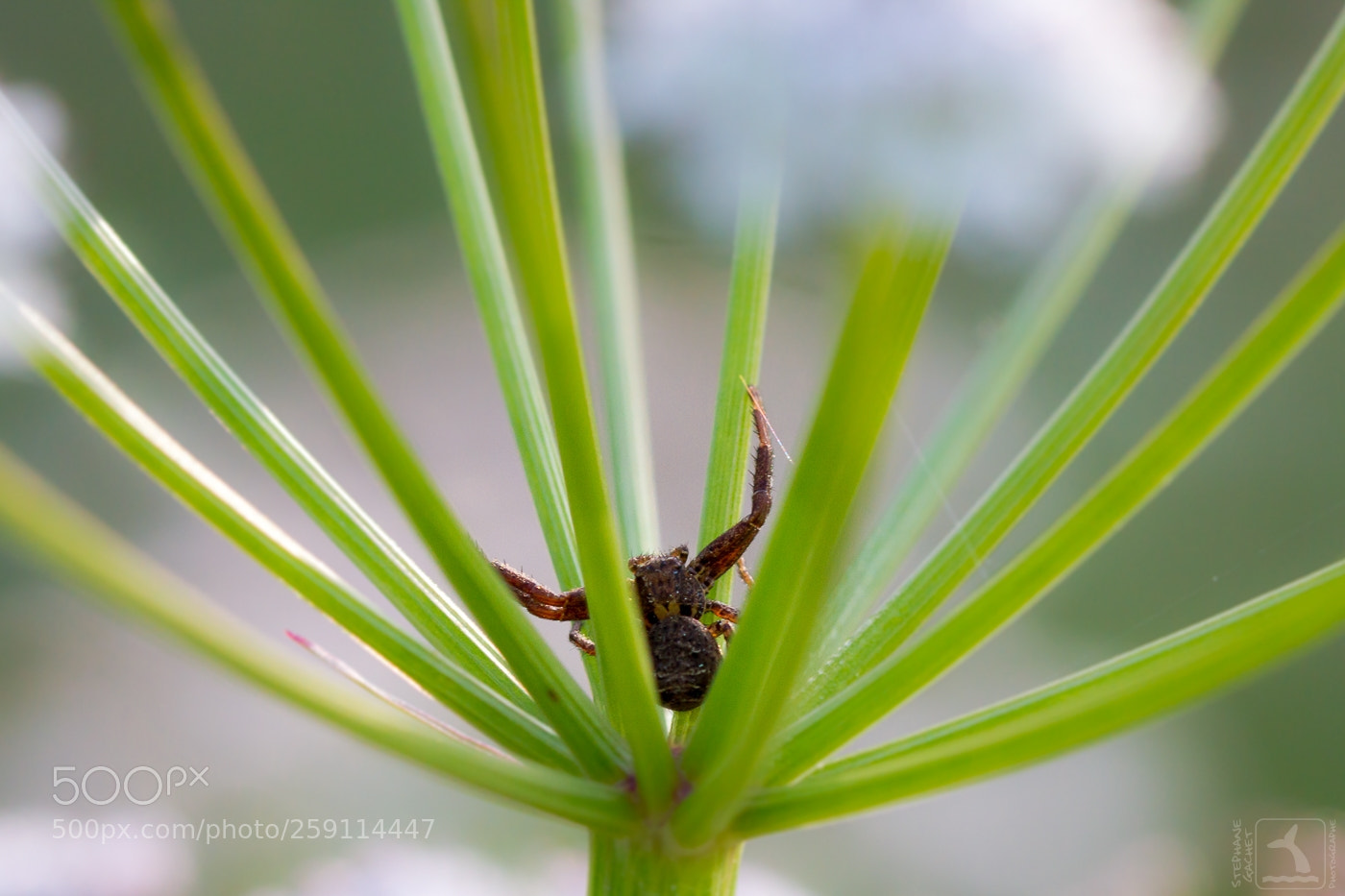 Canon EOS 7D sample photo. Au rond point, prenez photography