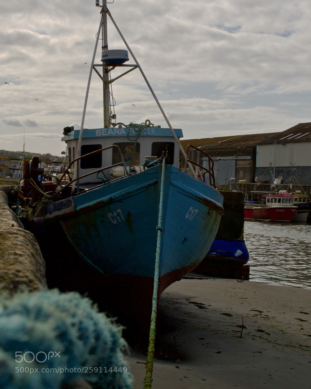 Nikon D3100 sample photo. Grounded photography