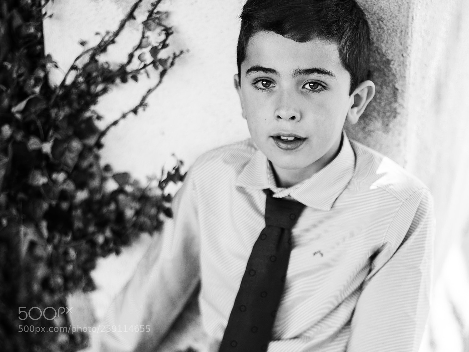 Canon EOS 6D sample photo. Alberto photography