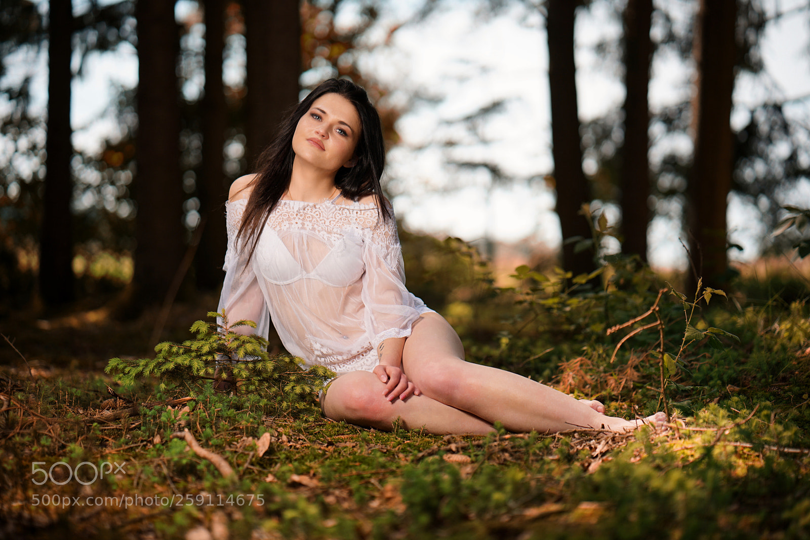 Sony a7 II sample photo. No titel photography