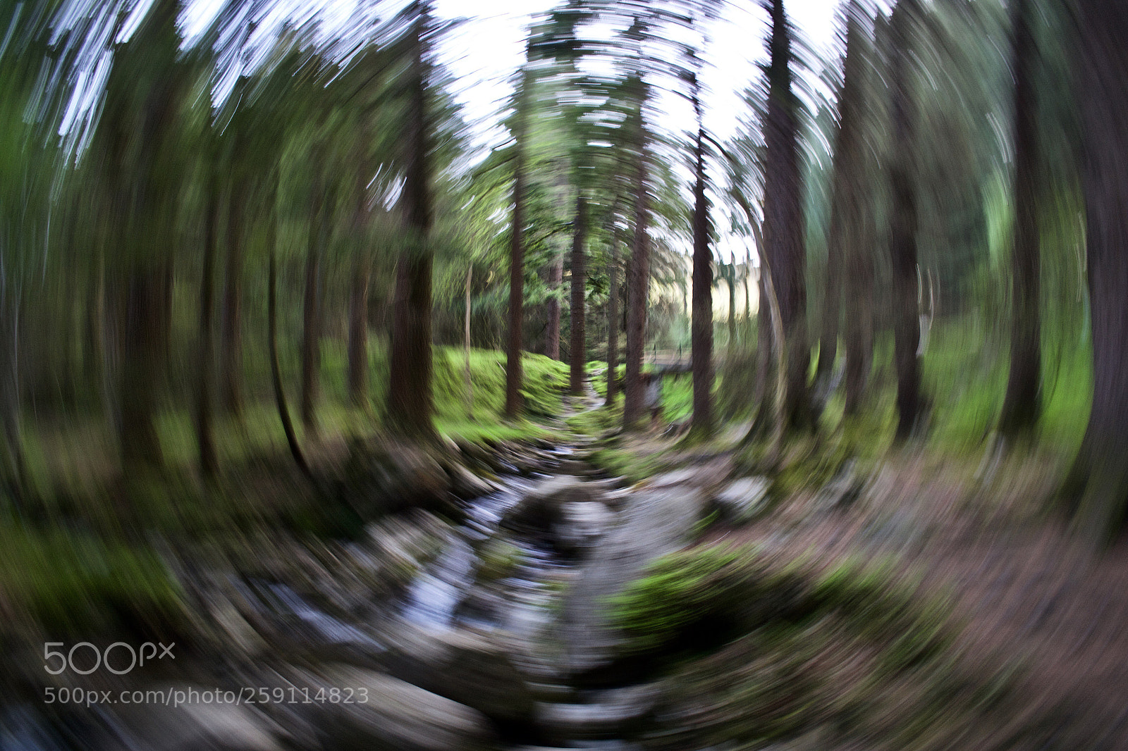 Nikon D3100 sample photo. In a spin photography