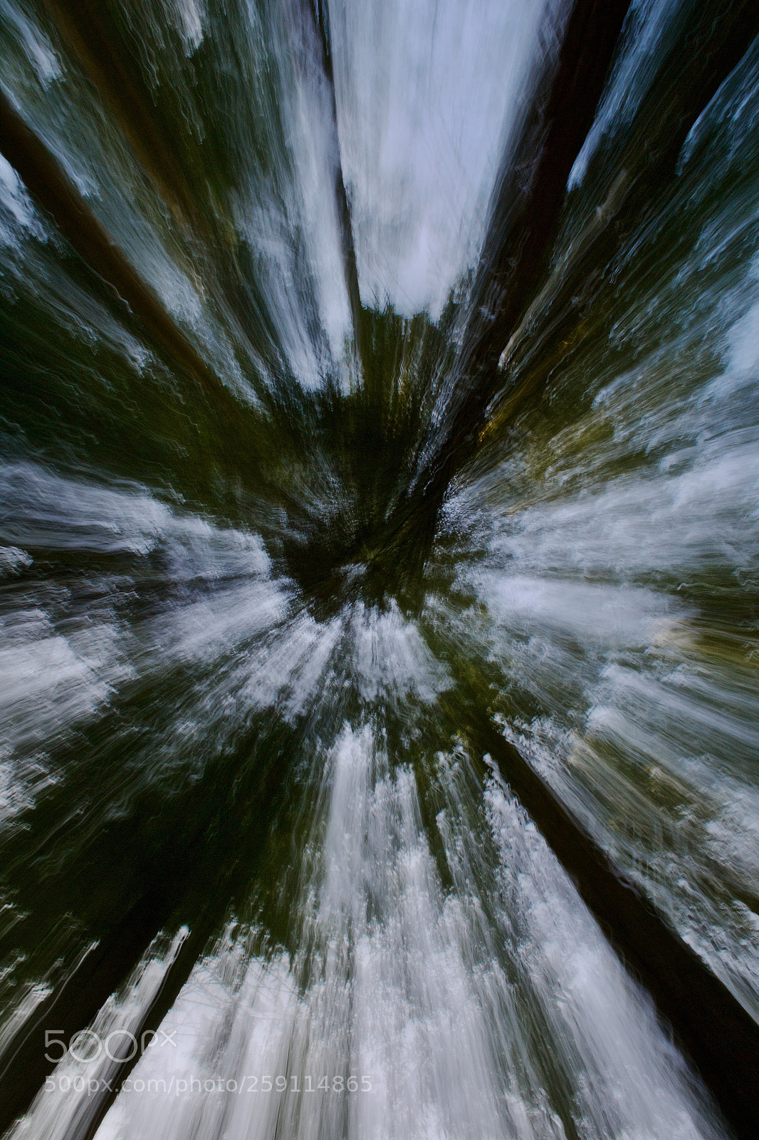 Nikon D3100 sample photo. Burst photography