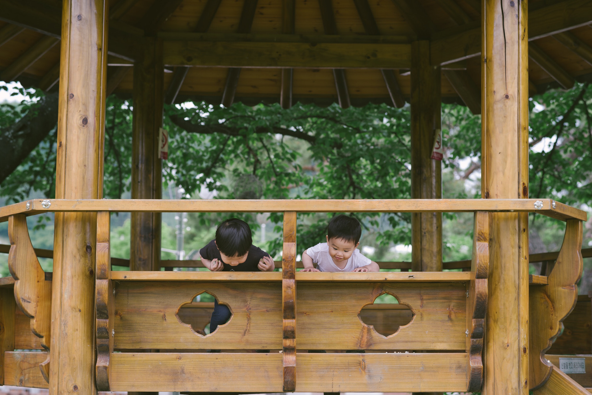 Pentax K-1 Mark II sample photo. Sons photography