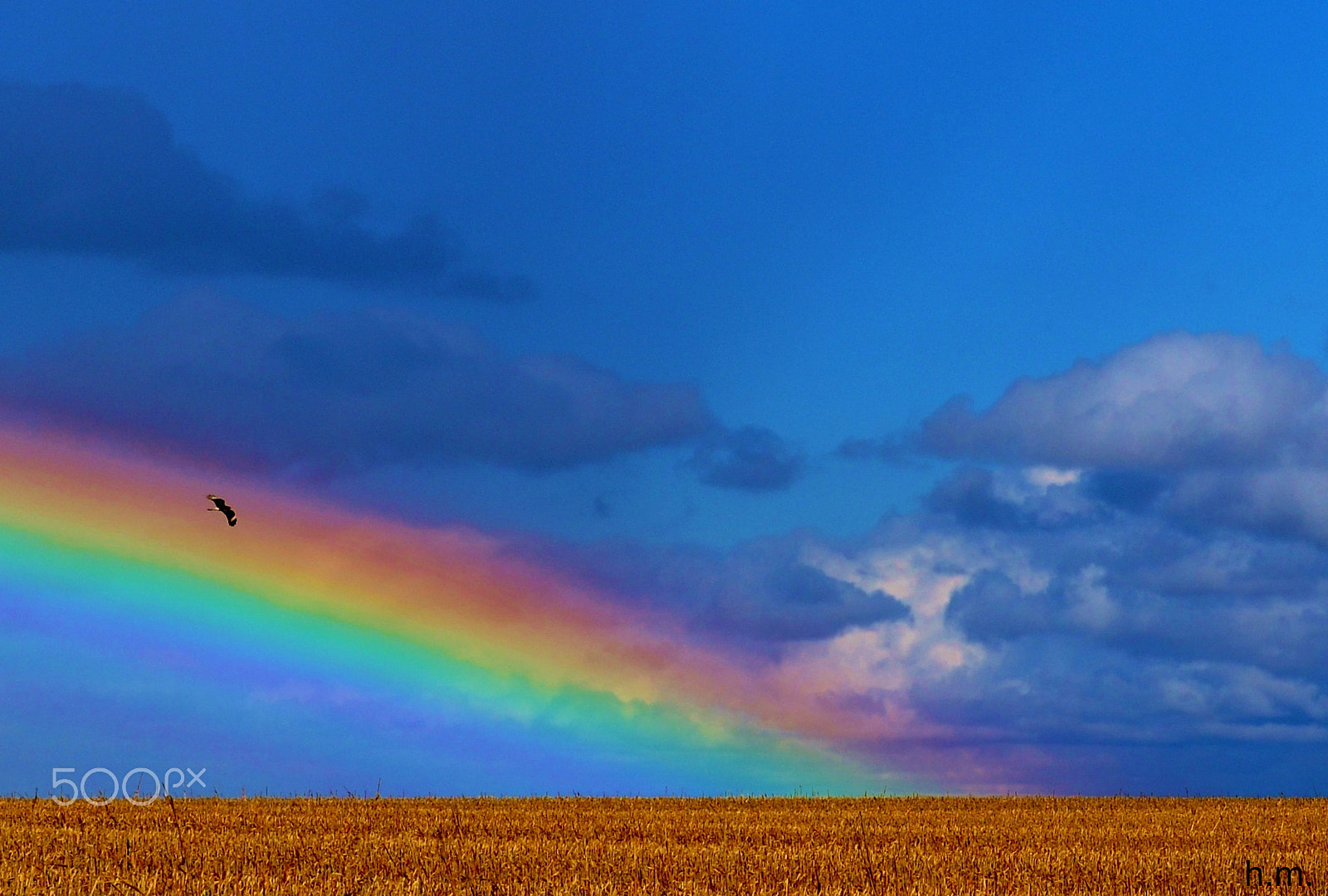 Nikon D3100 sample photo. Arco iris photography