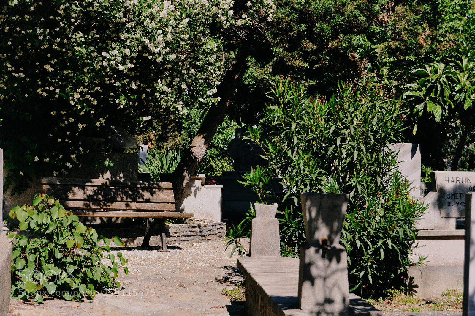 Nikon D90 sample photo. Istanbul cemetery photography