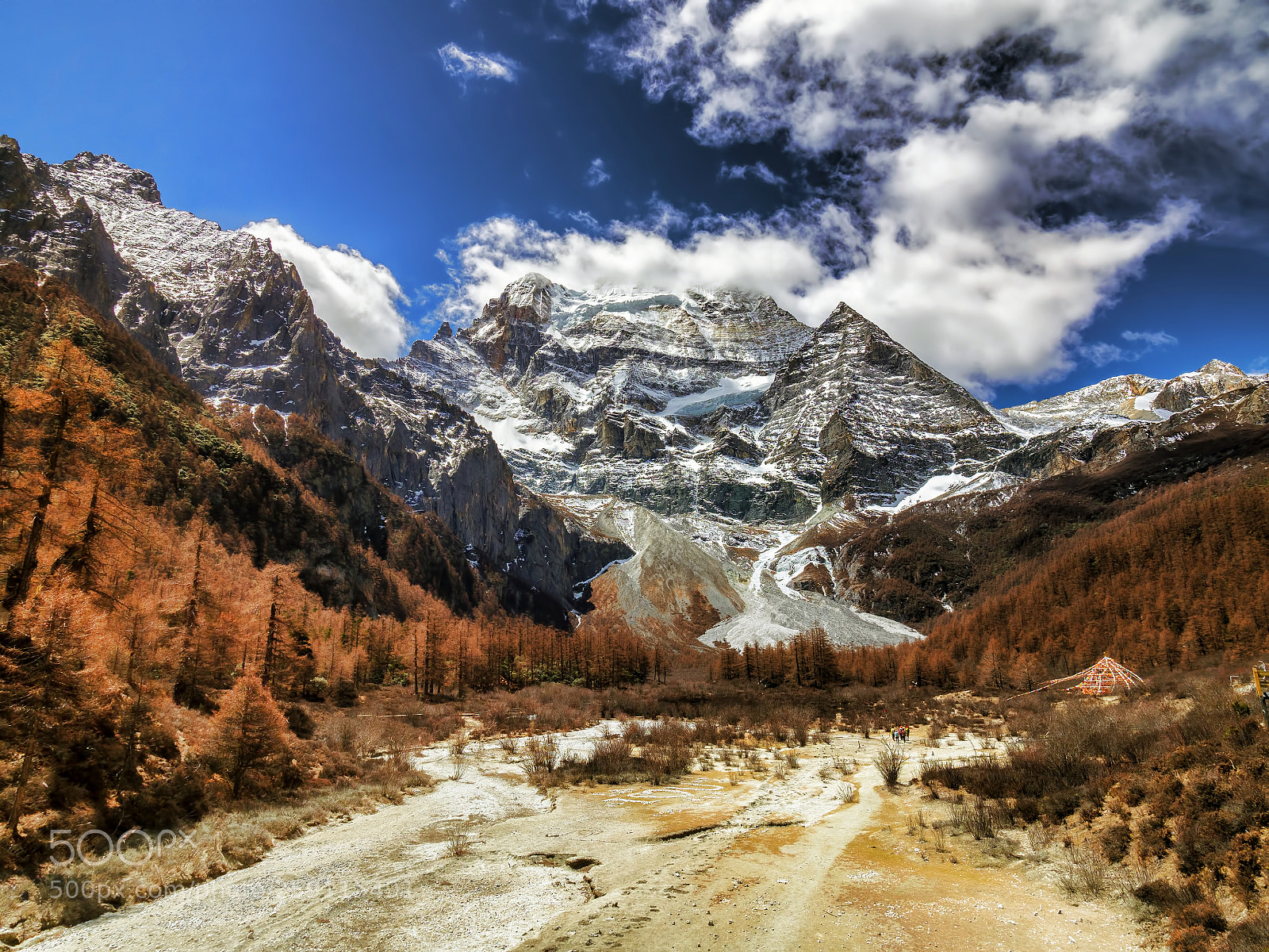 Olympus OM-D E-M1 Mark II sample photo. Yading nature reserve of photography