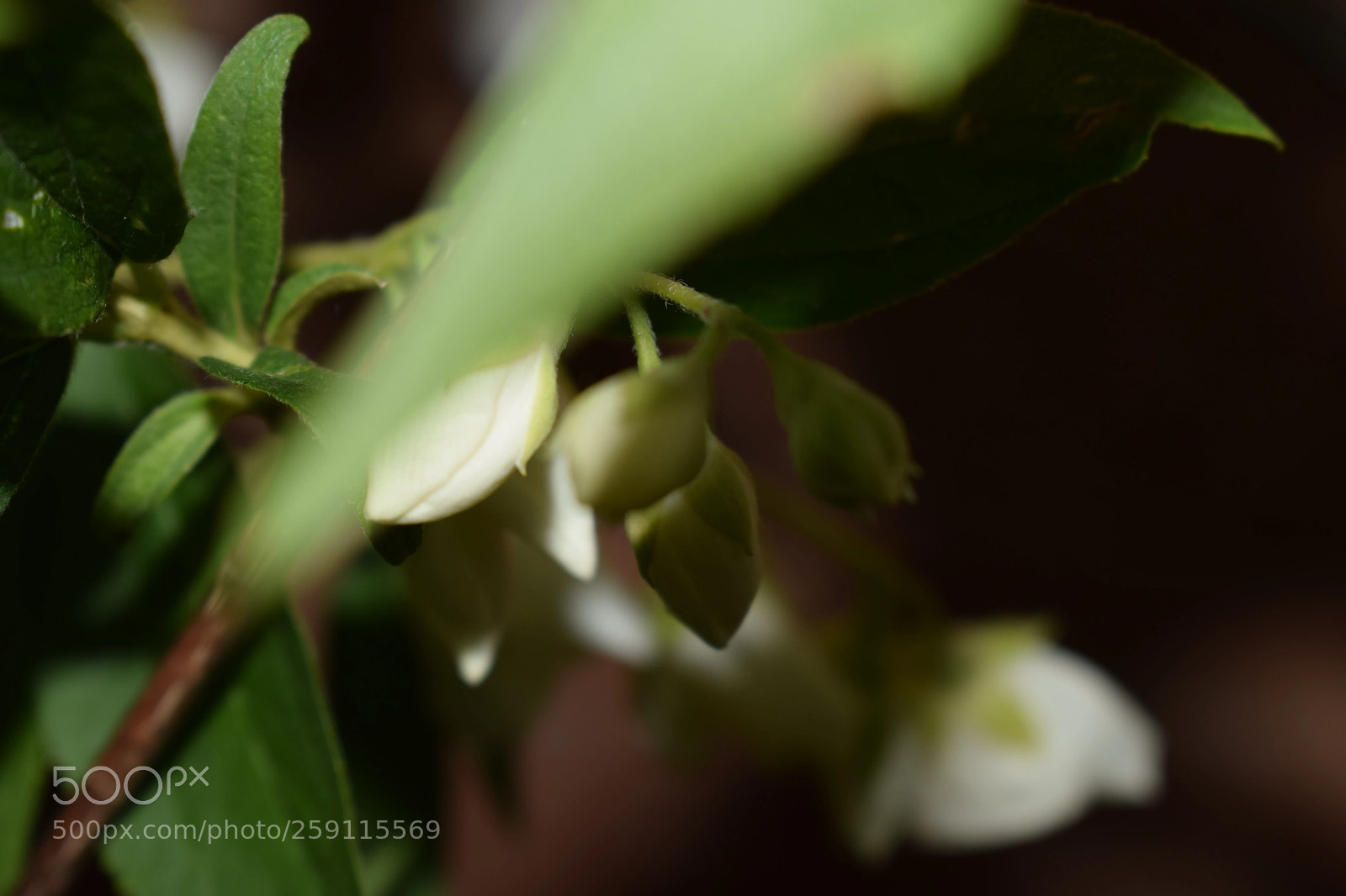 Nikon D5300 sample photo. Chaos photography