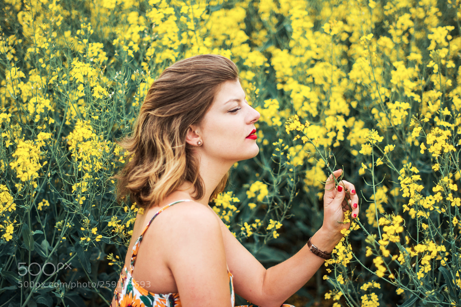 Nikon D7100 sample photo. Colza photography