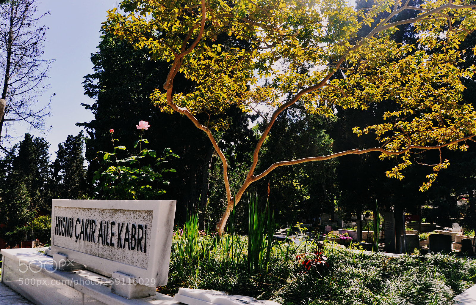 Nikon D90 sample photo. Calm photography