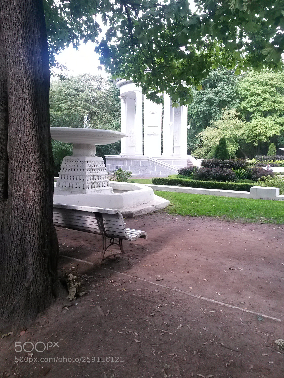 Samsung Galaxy S4 Mini sample photo. Untitled photography