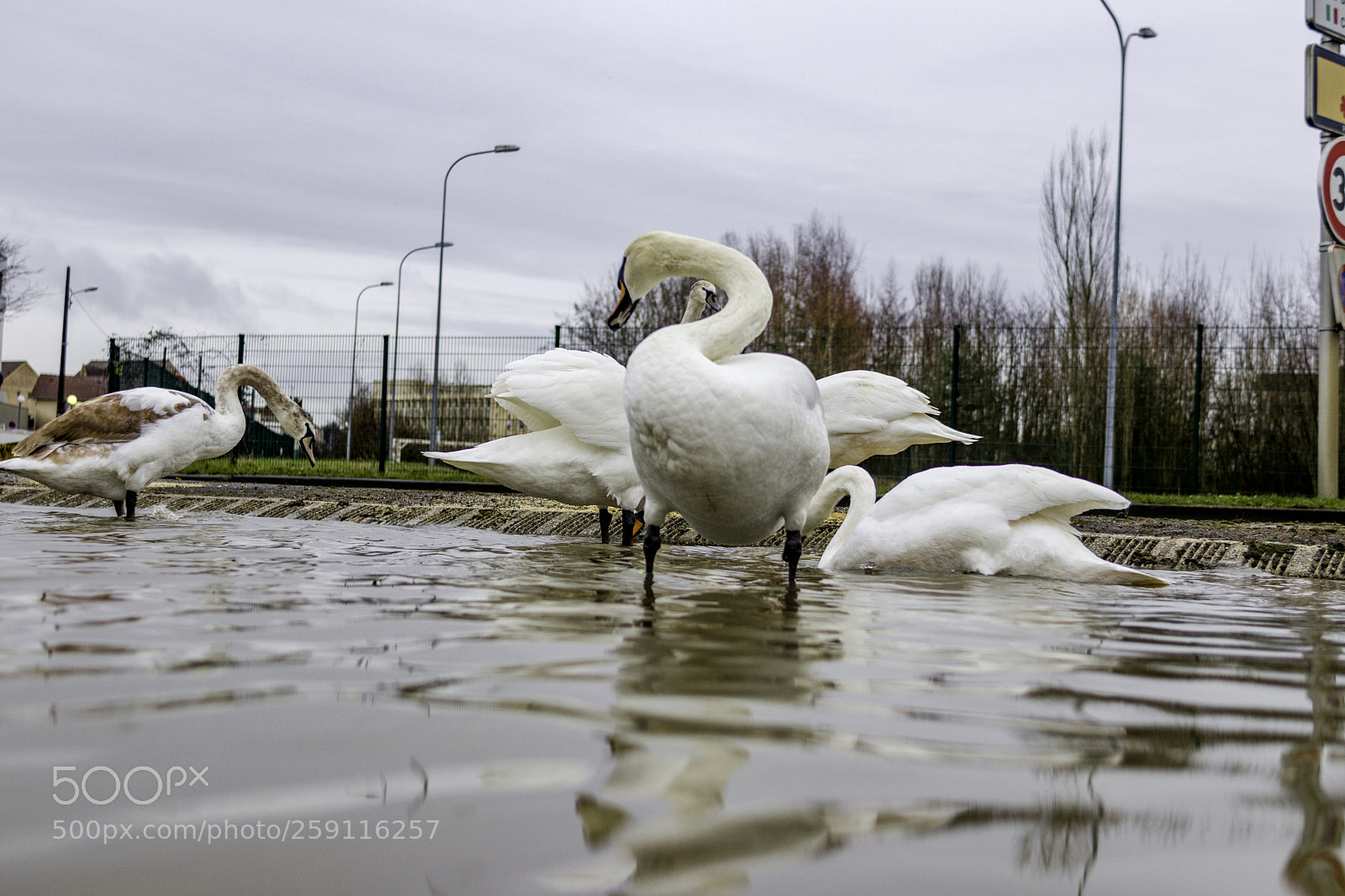 Canon EOS 77D (EOS 9000D / EOS 770D) sample photo. Inondation melun balade des photography