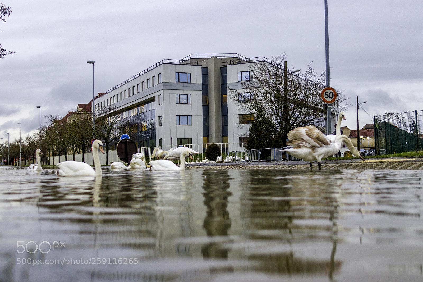 Canon EOS 77D (EOS 9000D / EOS 770D) sample photo. Inondation melun balade des photography