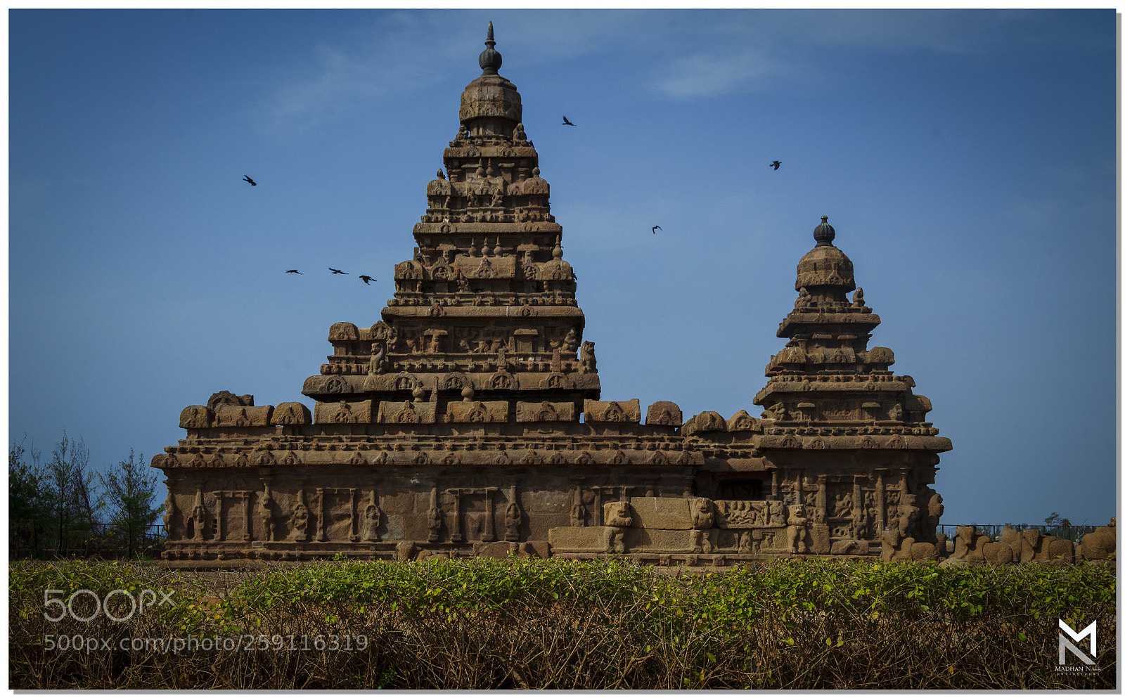 Nikon D5100 sample photo. Untitled photography