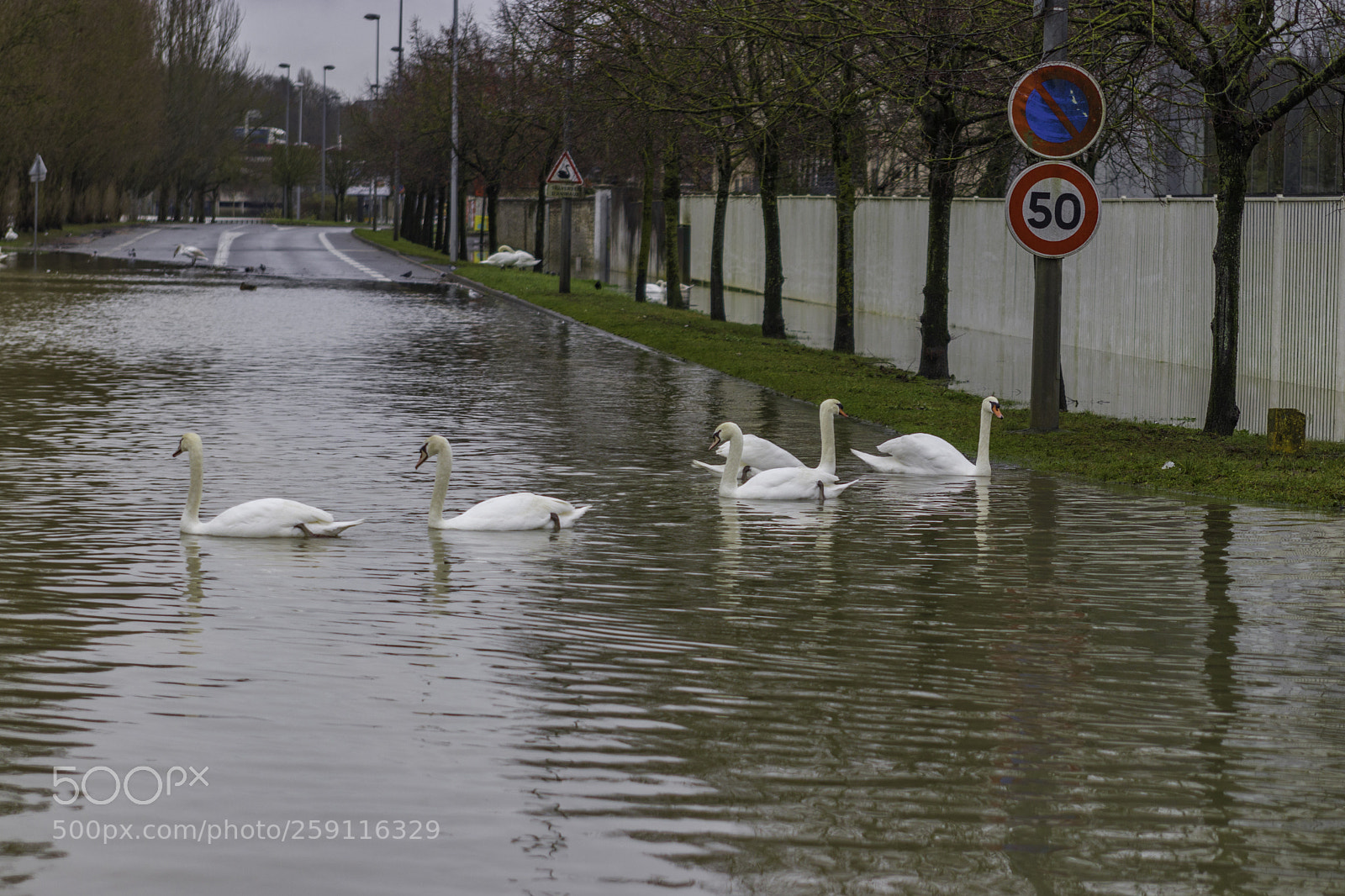 Canon EOS 77D (EOS 9000D / EOS 770D) sample photo. Inondation melun balade des photography