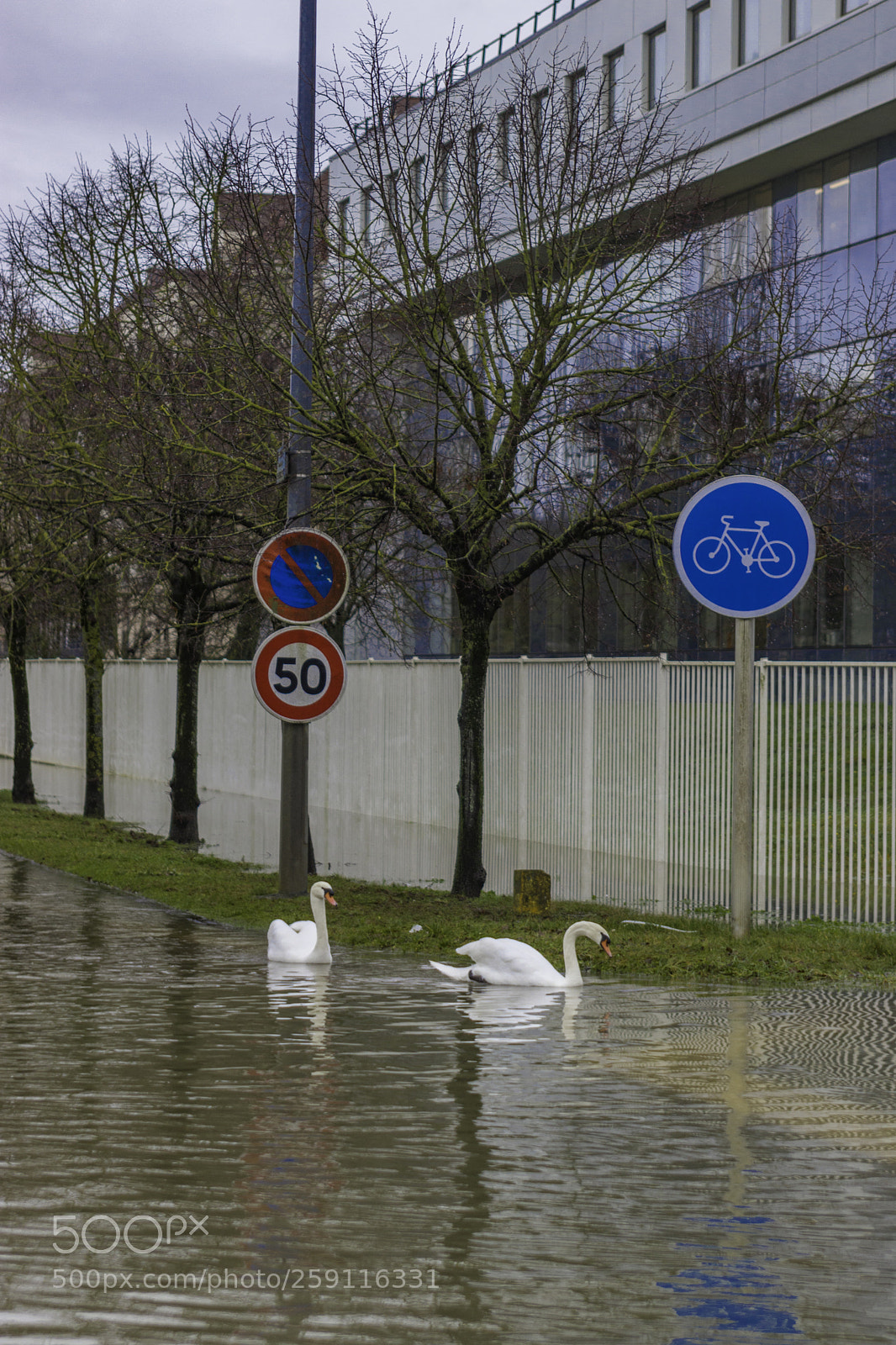 Canon EOS 77D (EOS 9000D / EOS 770D) sample photo. Inondation melun balade des photography