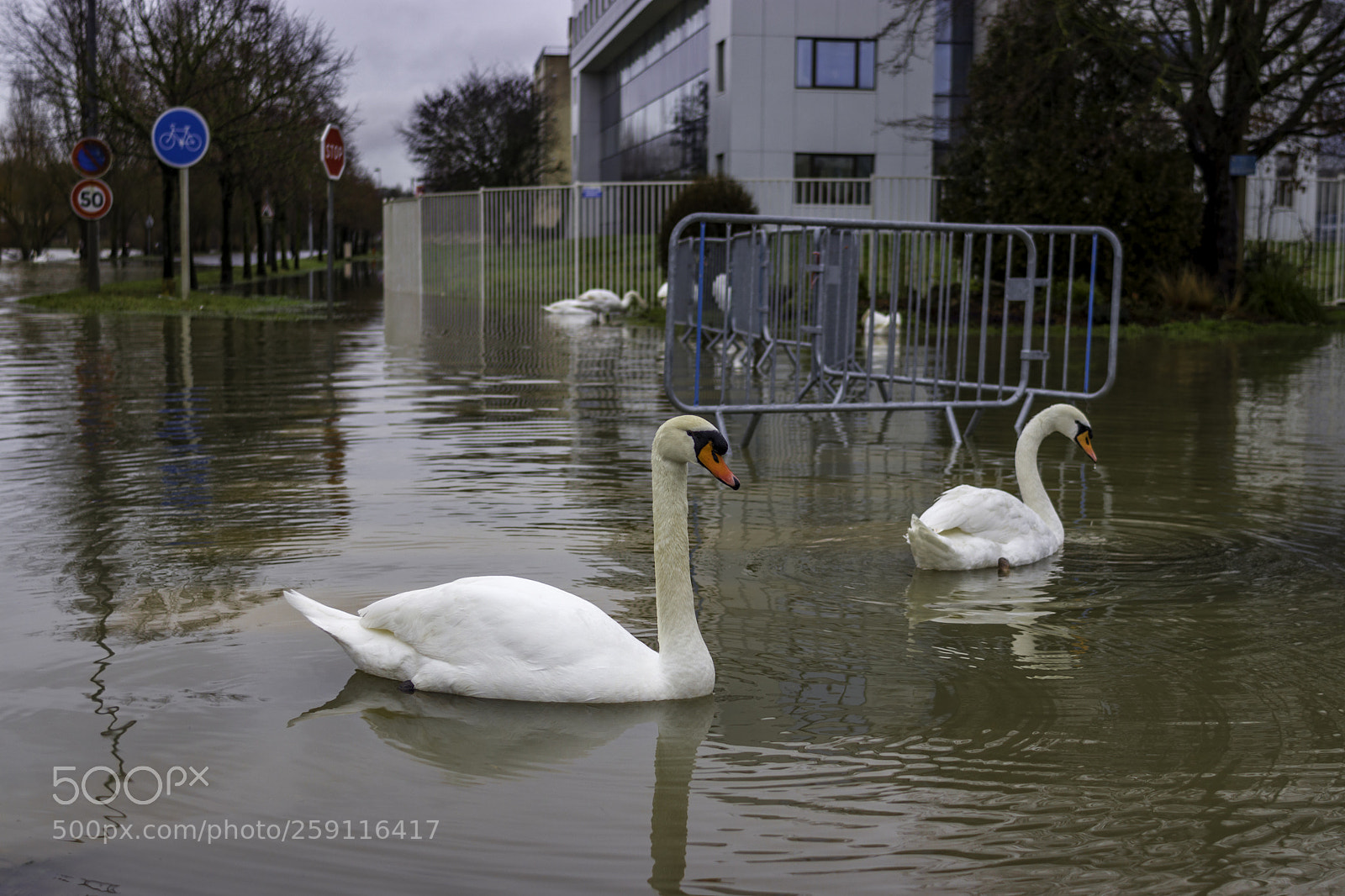 Canon EOS 77D (EOS 9000D / EOS 770D) sample photo. Inondation melun balade des photography