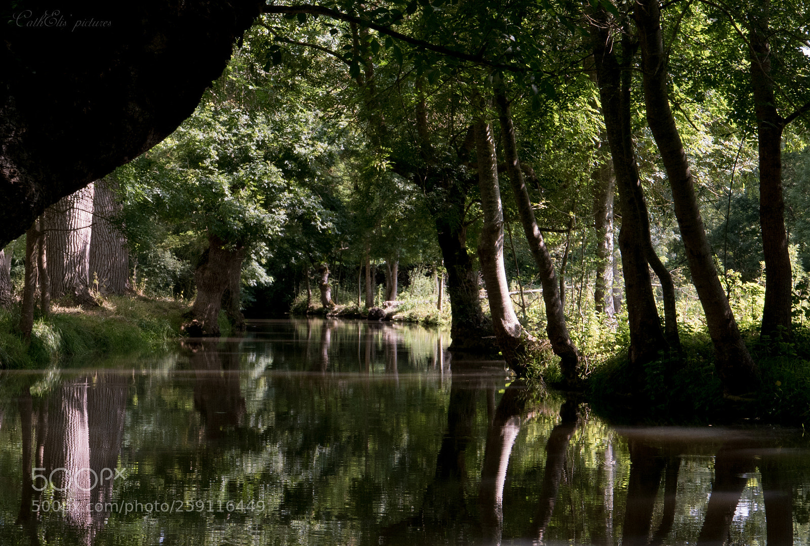 Panasonic Lumix DMC-LX100 sample photo. Marais poitevins - june 2016 photography