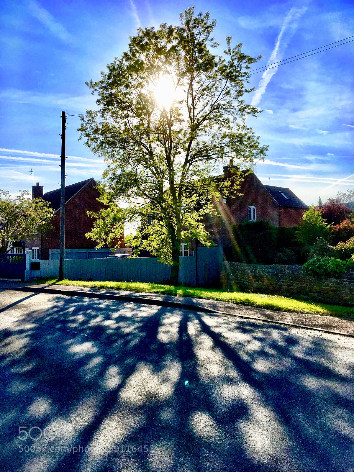 Apple iPhone SE sample photo. Evening sunlight photography