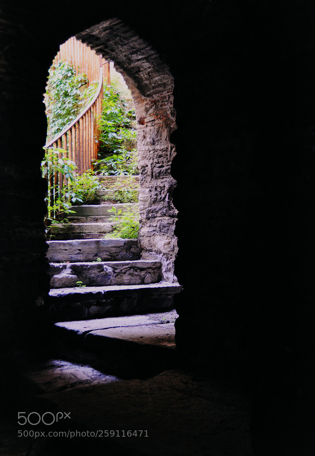 Nikon D90 sample photo. Portal photography