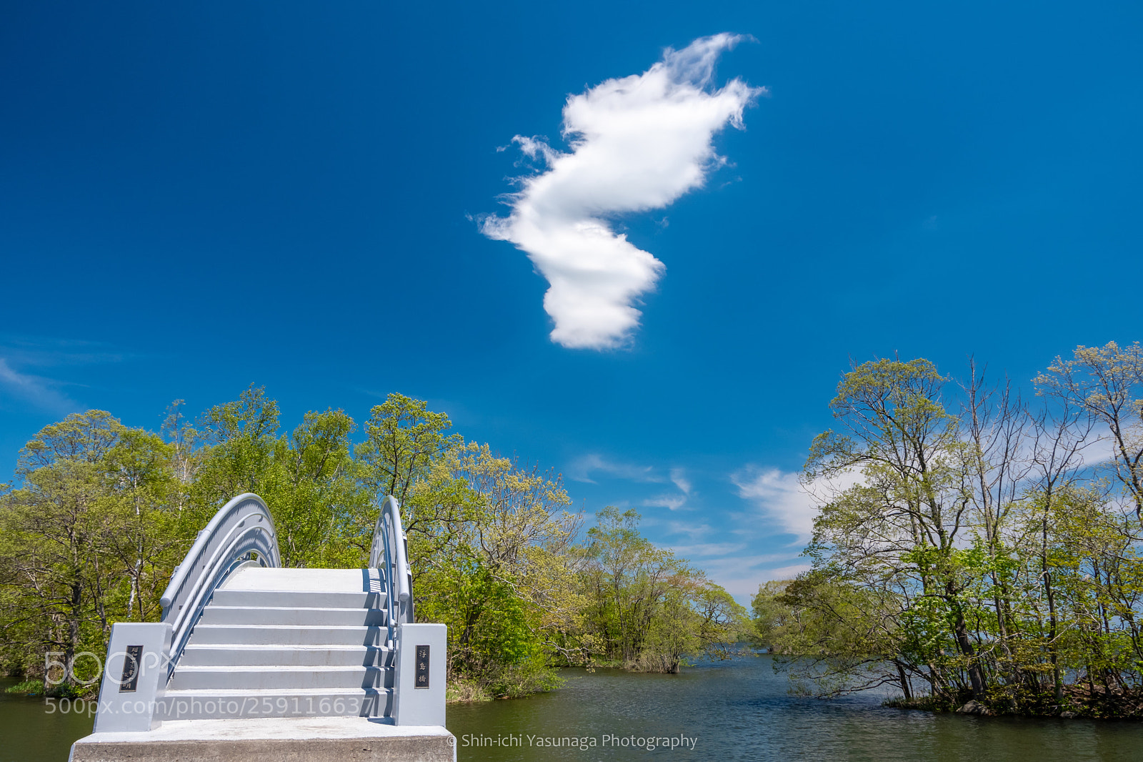 Pentax K-70 sample photo. Dragon-like clouds photography