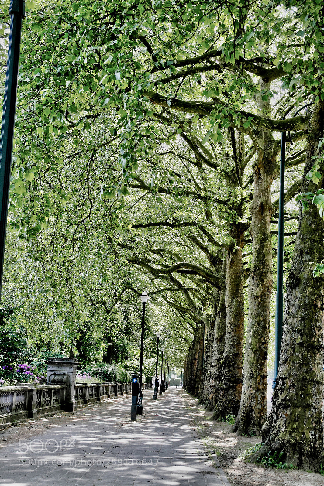 Canon EOS 7D sample photo. Untitled photography