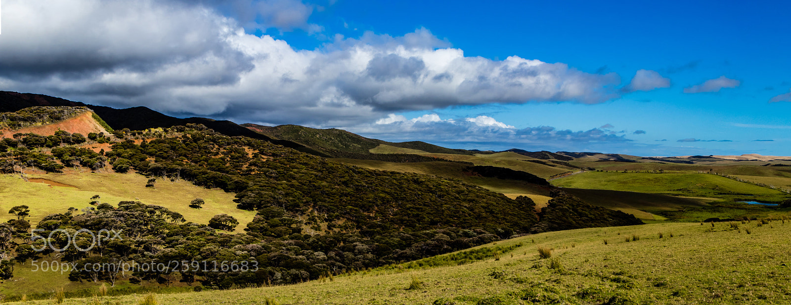 Canon EOS 80D sample photo. Far north - nz photography