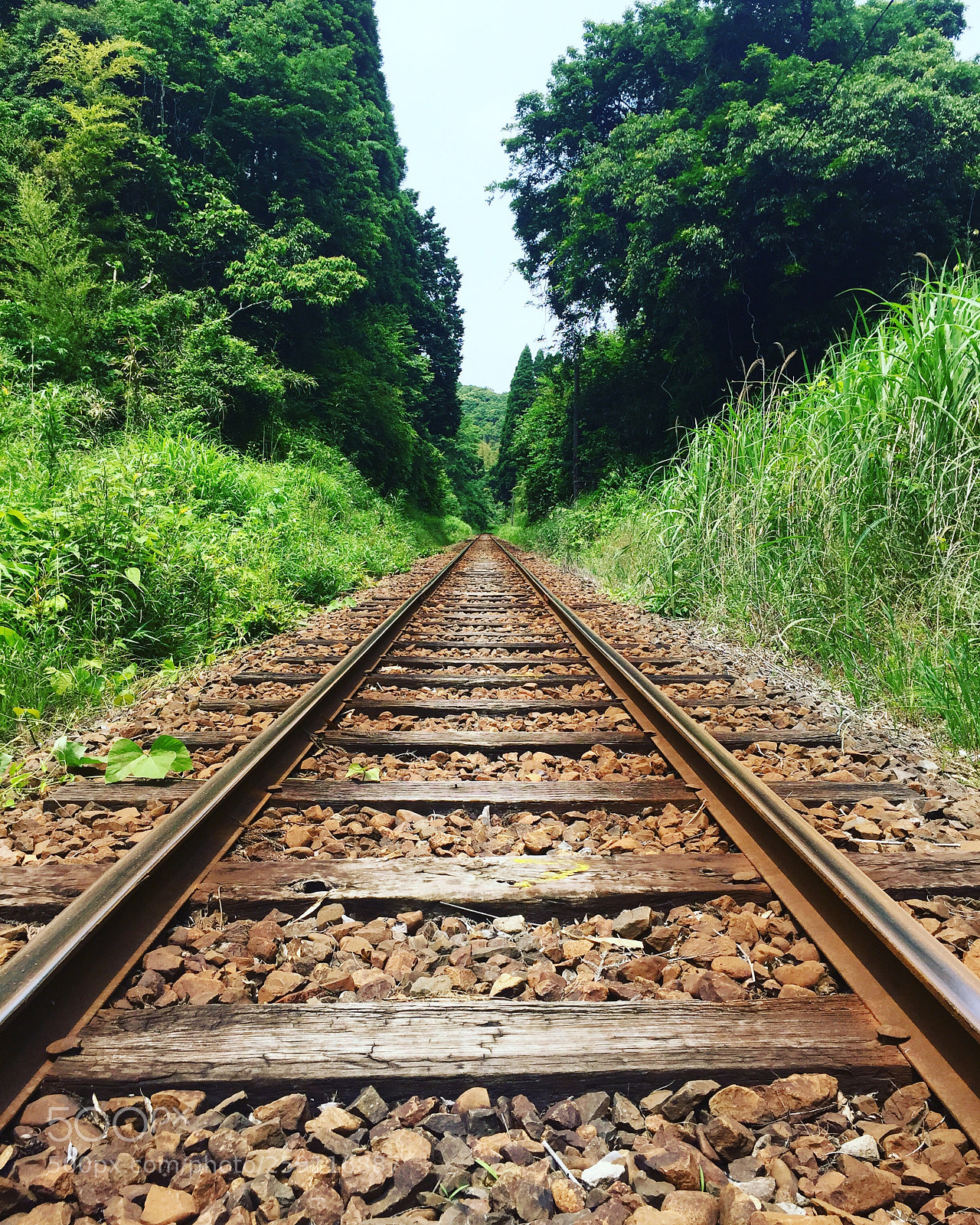 Apple iPhone 6 sample photo. Railroad photography