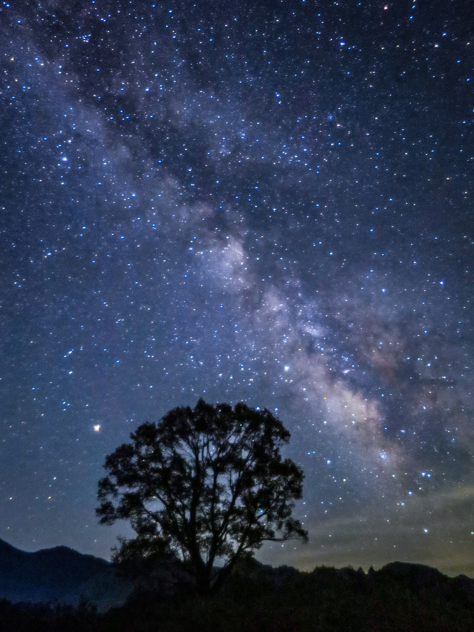 Canon PowerShot S120 sample photo. Isolated one tree and milky way photography