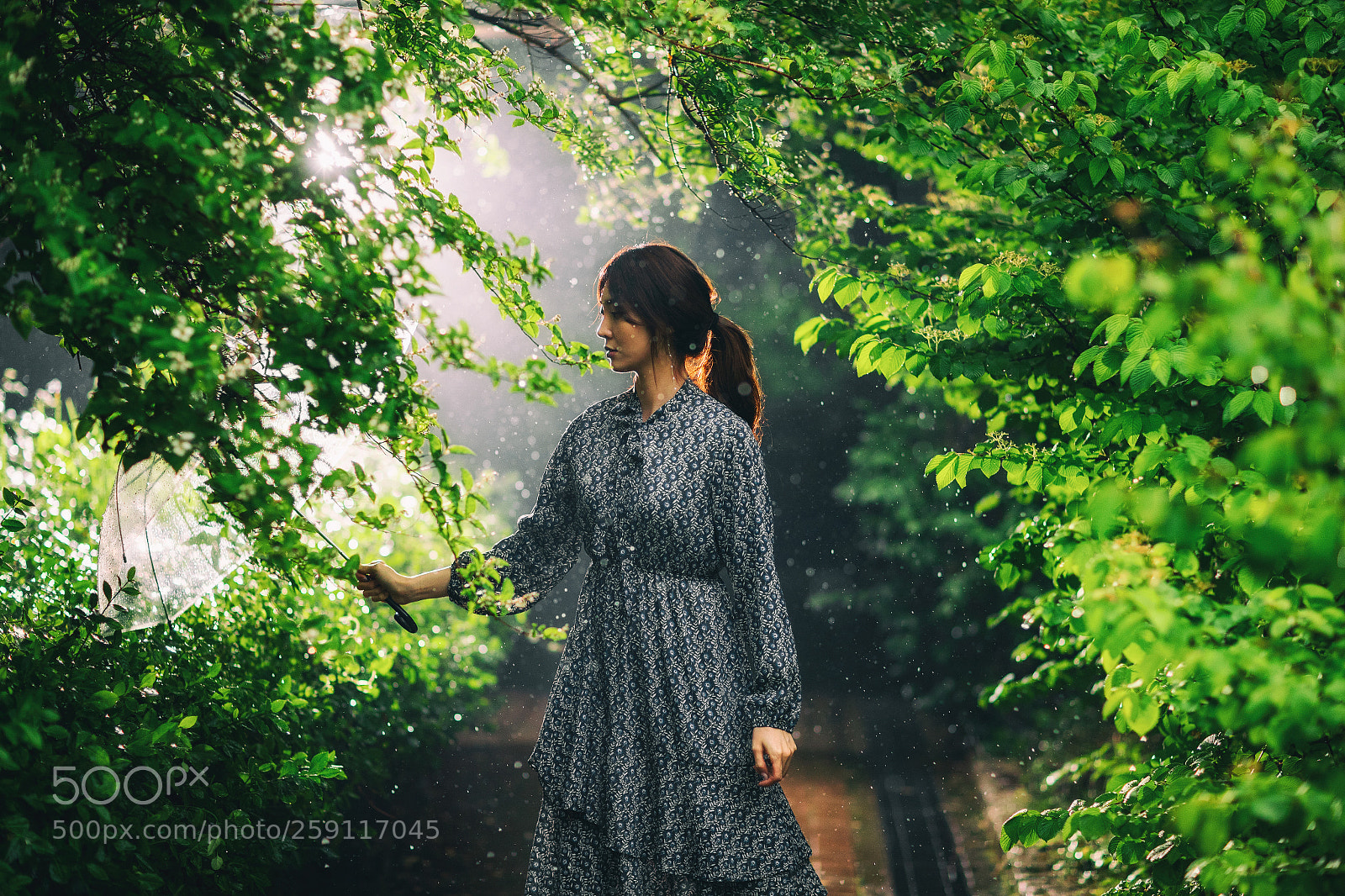 Canon EOS-1D X Mark II sample photo. Conflicting photography