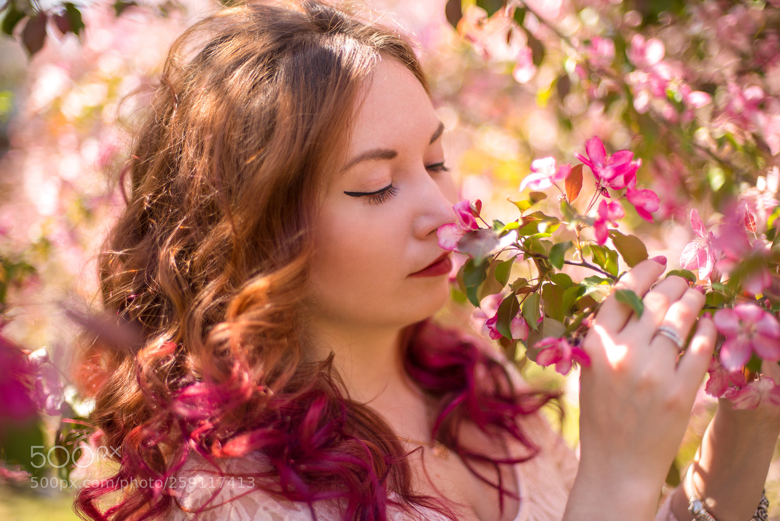 Nikon D750 sample photo. Blossom photography