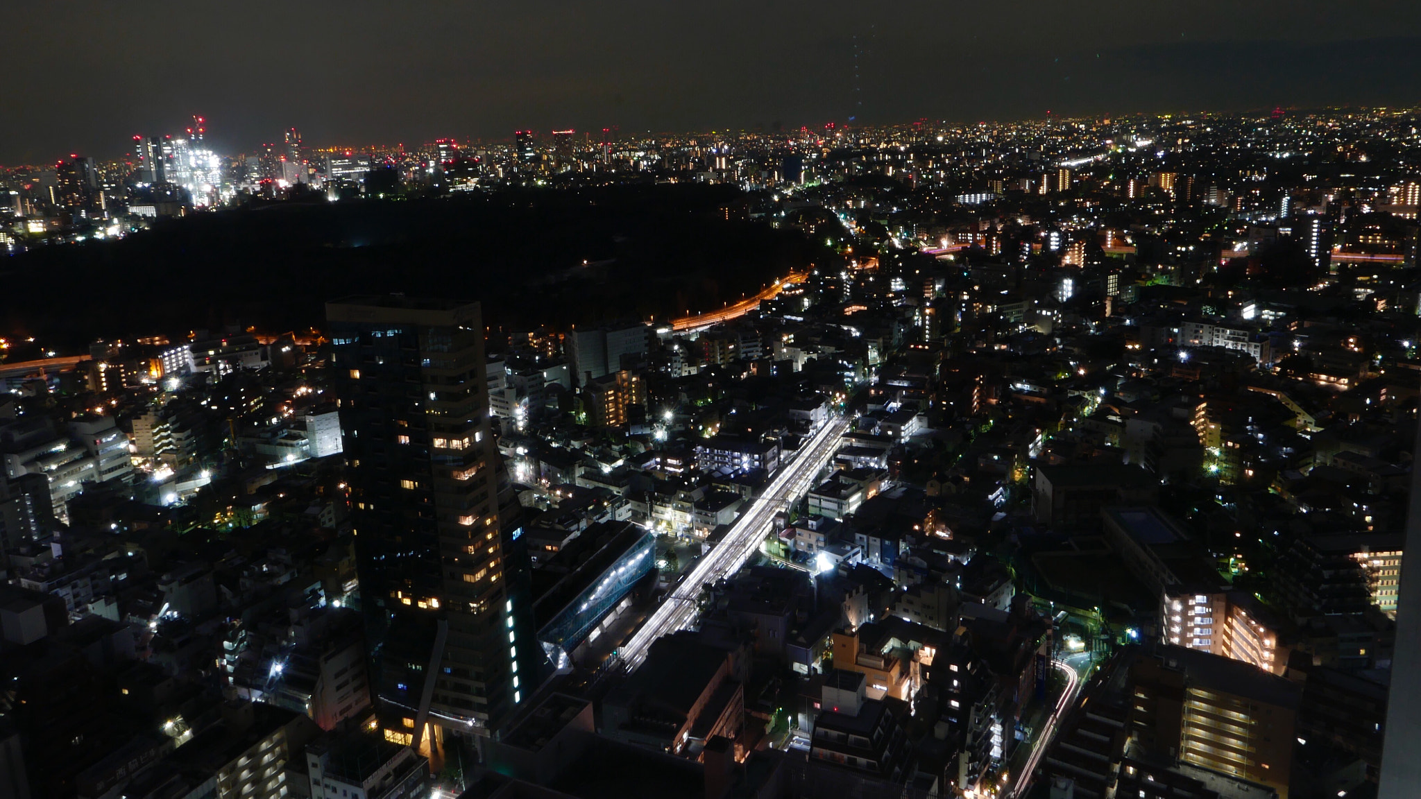 Leica D-Lux (Typ 109) sample photo. 新宿。。。 photography