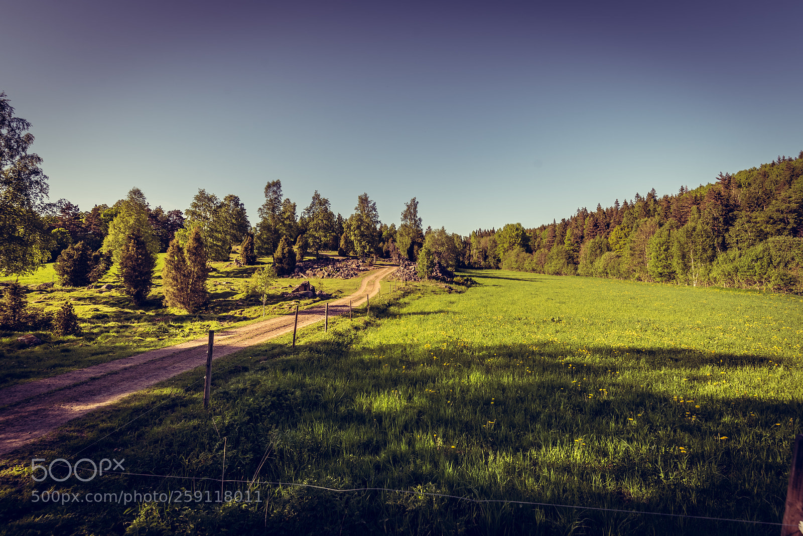 Nikon D750 sample photo. Trip to sweden photography