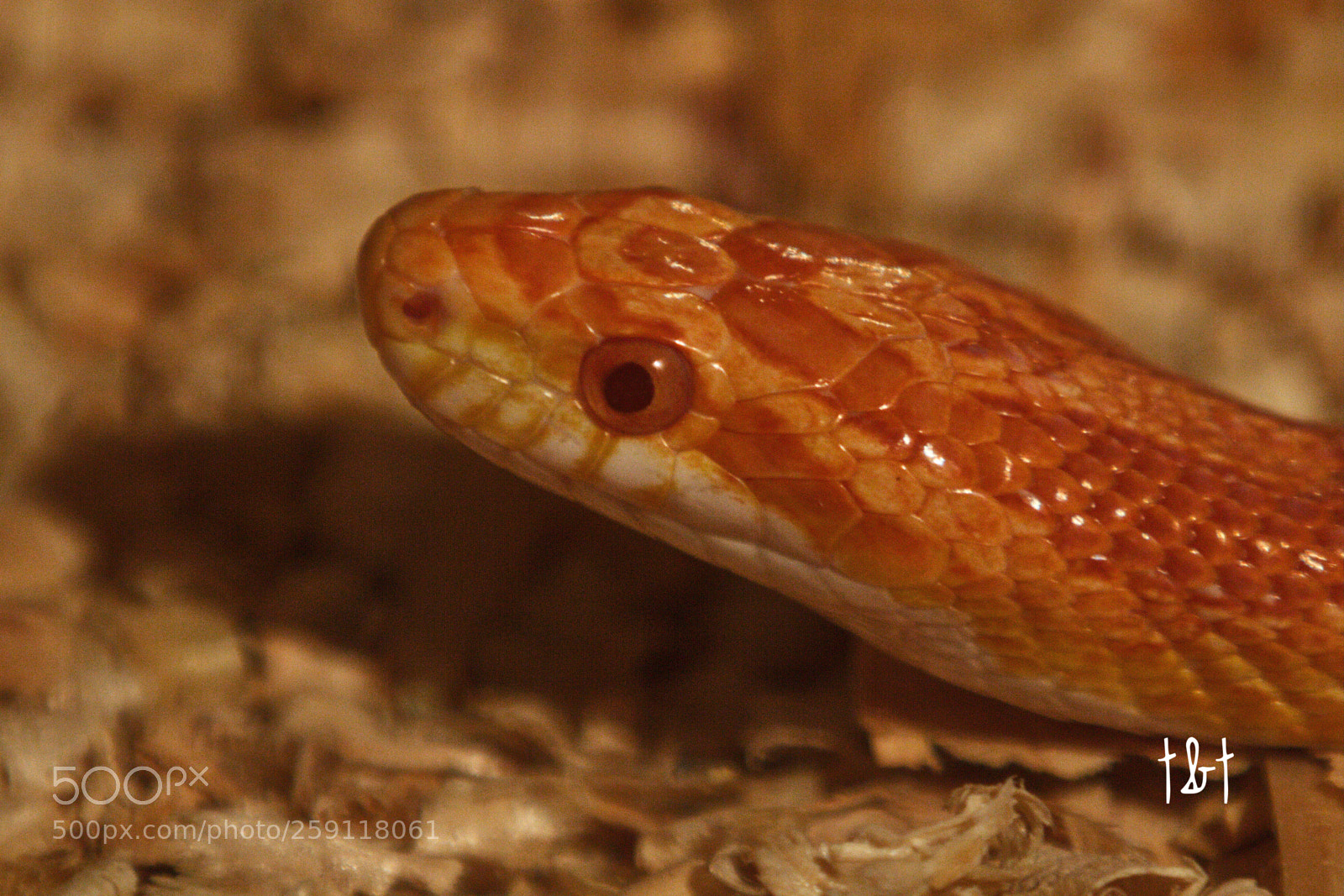 Canon EOS 7D sample photo. Untitled photography
