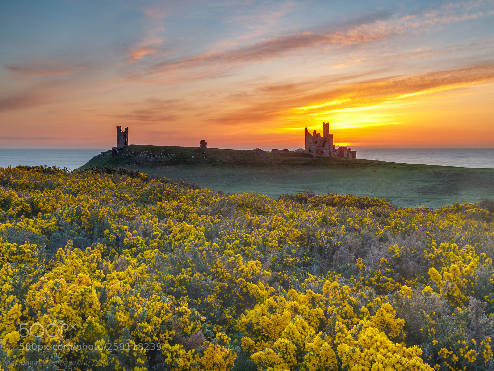 Canon EOS 6D Mark II sample photo. Dunstanburgh dawn. photography