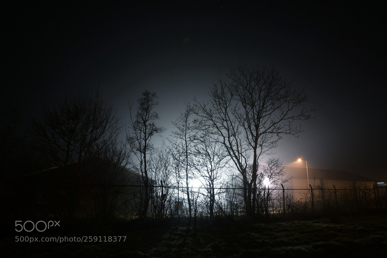 Nikon D5300 sample photo. Neighbours light looks like photography