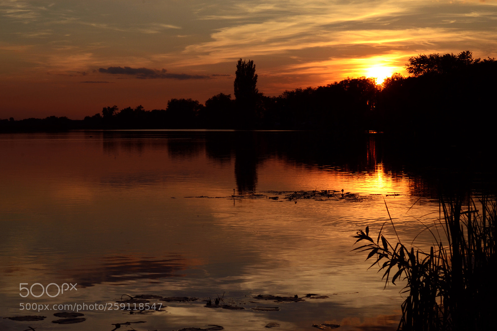 Nikon D3100 sample photo. Sunset photography