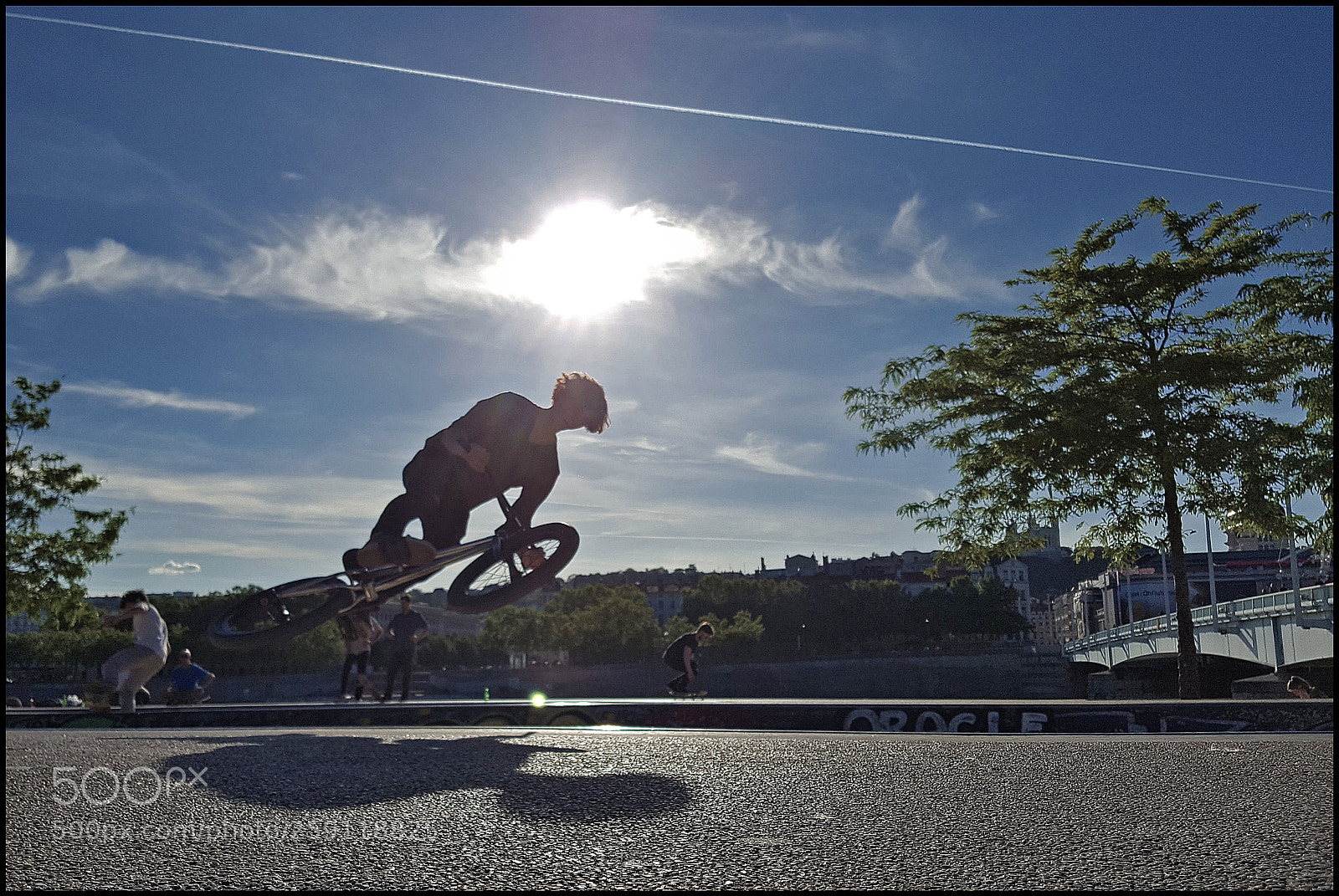 Samsung GALAXY S6 edge sample photo. 310.jpg photography