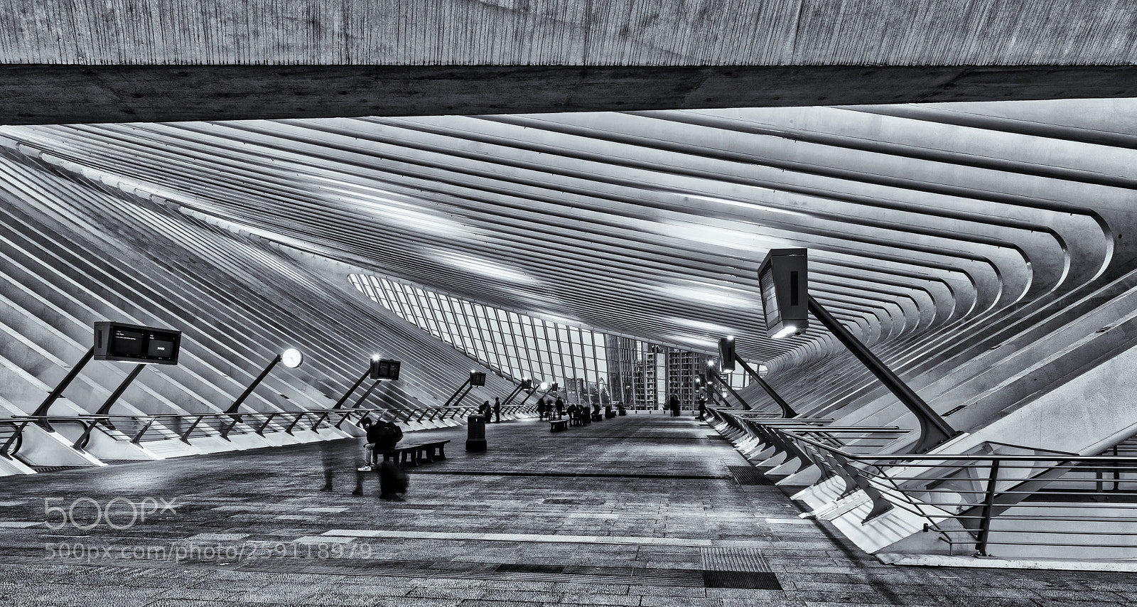 Nikon D4S sample photo. Inside guillemins ! photography