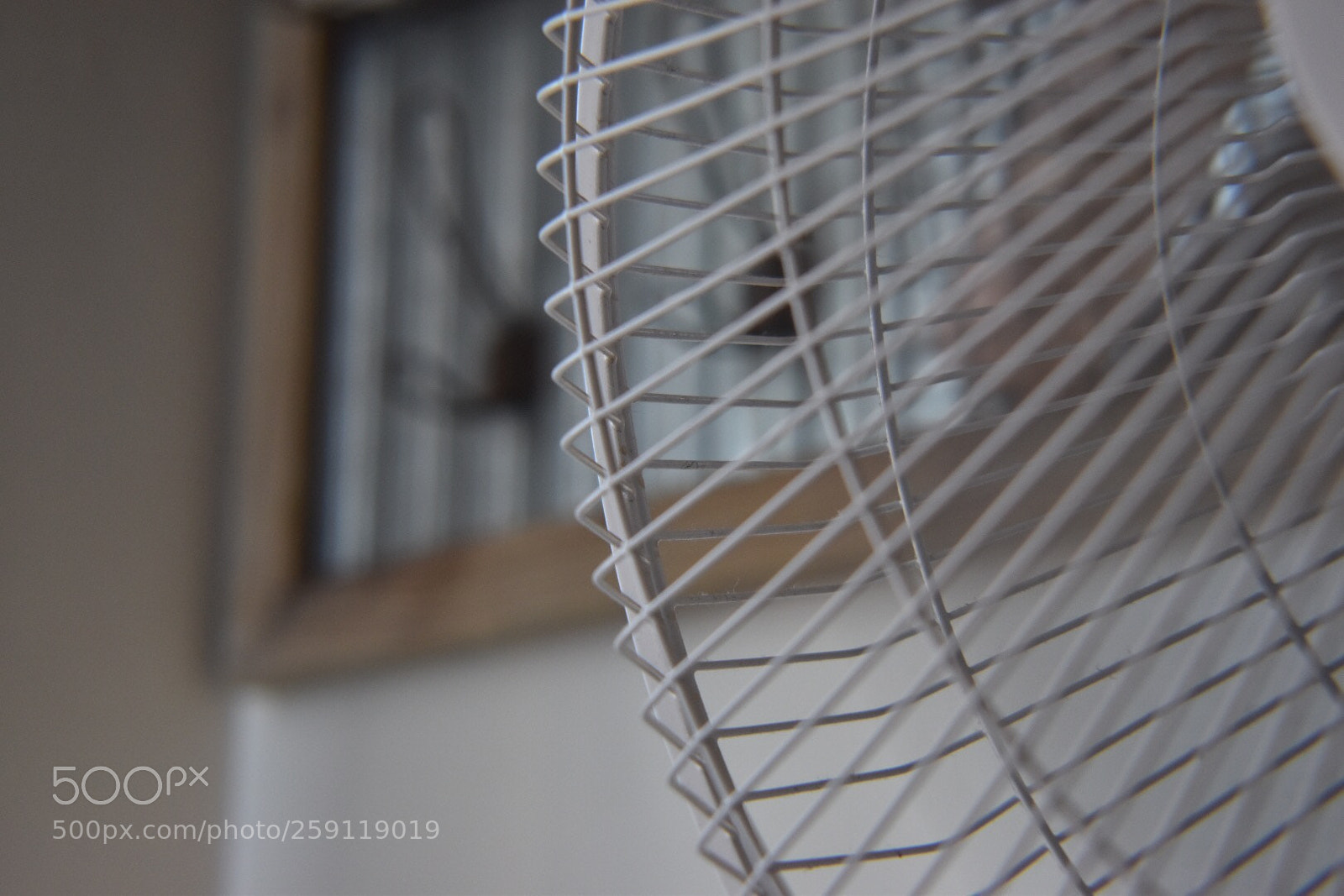 Nikon D5600 sample photo. Untitled photography