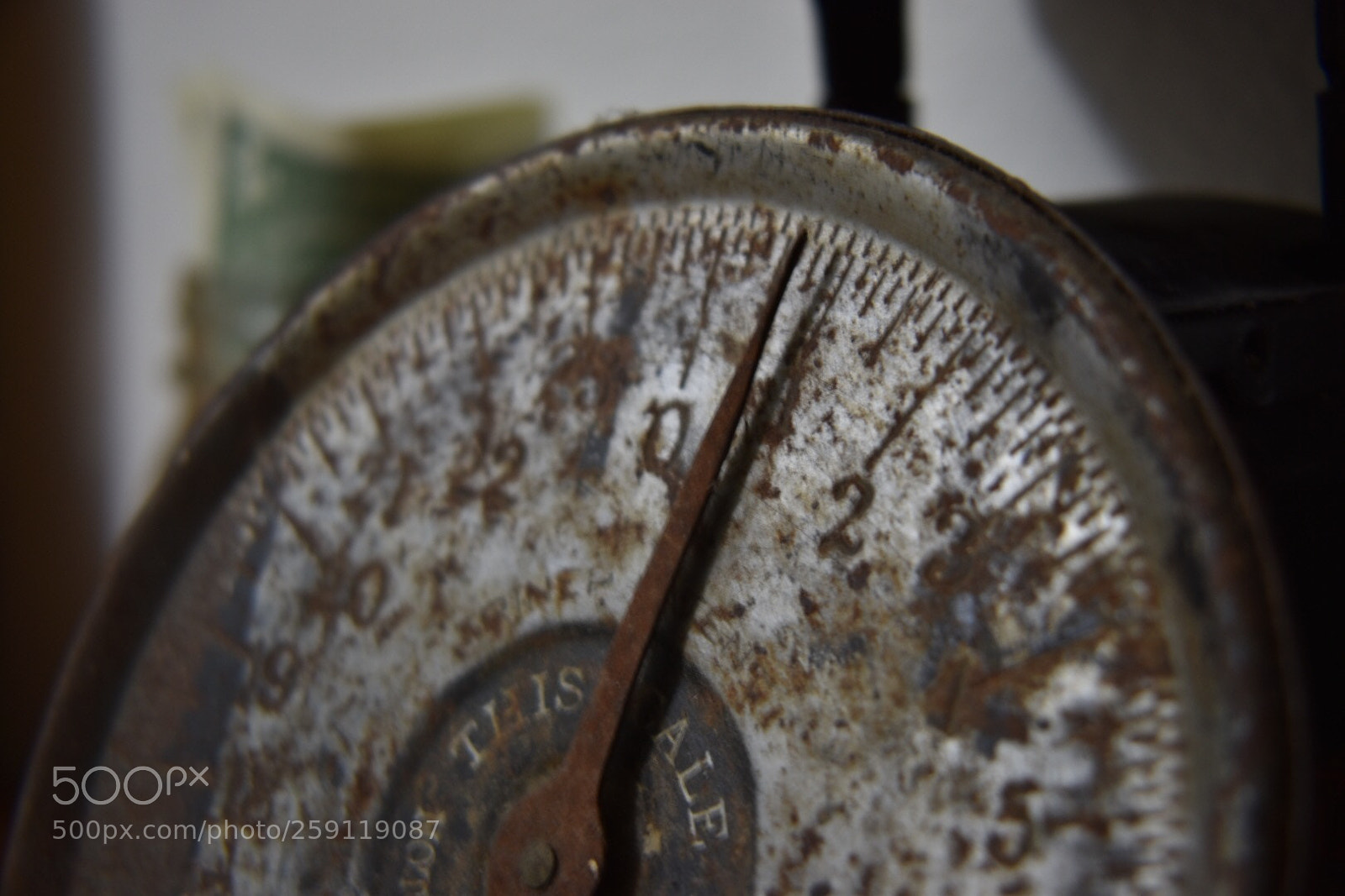 Nikon D5600 sample photo. Untitled photography