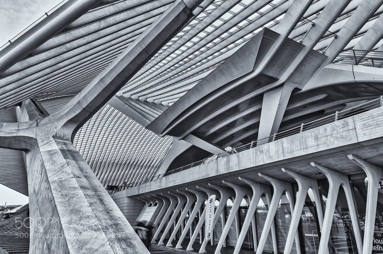 Nikon D4S sample photo. Guillemins ! photography
