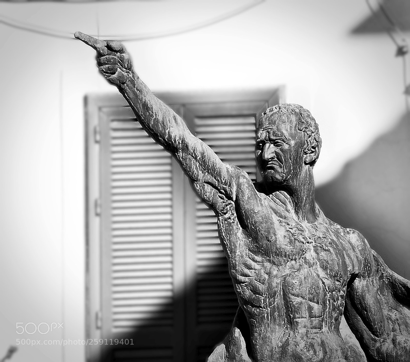 Nikon D300S sample photo. Get out! photography