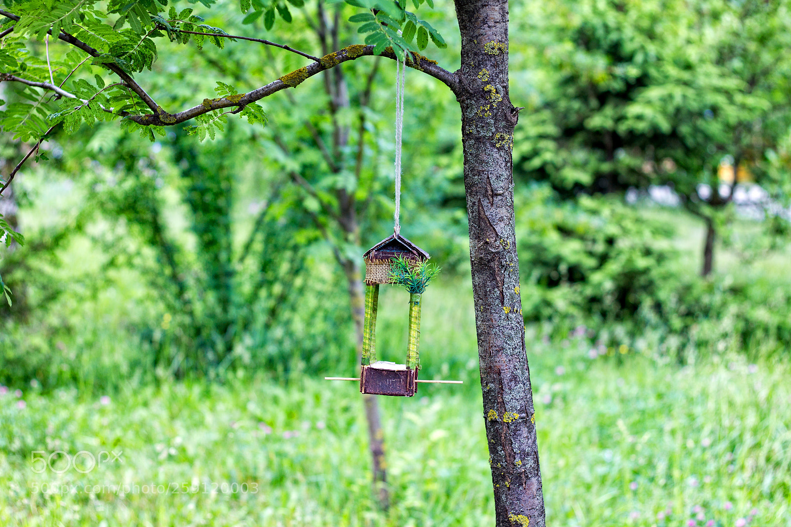 Canon EOS 1100D (EOS Rebel T3 / EOS Kiss X50) sample photo. Feeder for birds photography