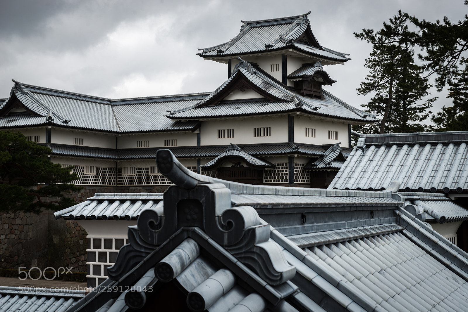 Nikon D800 sample photo. Kanazawa castle photography