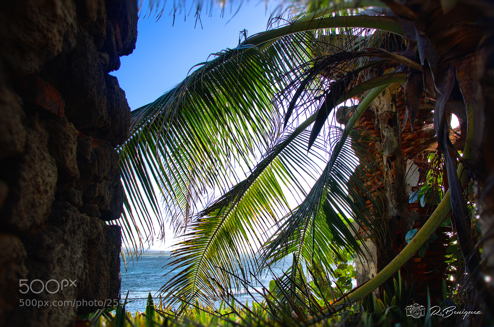 Nikon D5100 sample photo. Camuy, puerto rico photography
